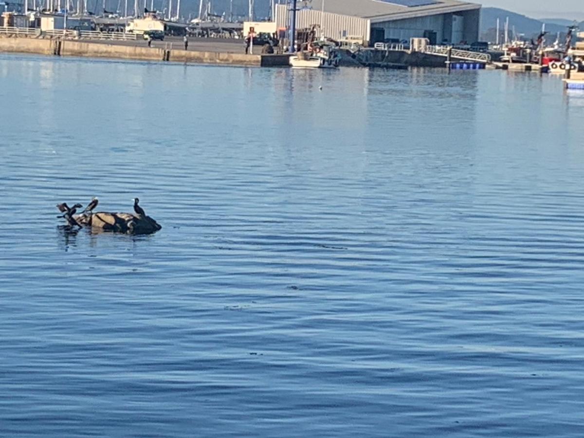 Atico Vilanova Vilanova de Arousa Zewnętrze zdjęcie
